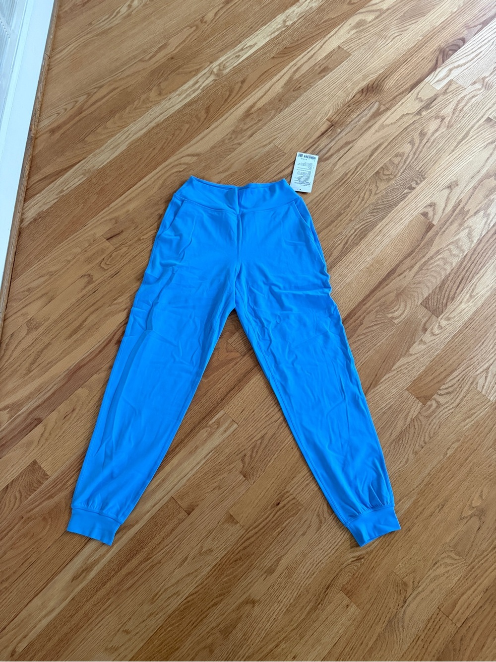 Lululemon align HR jogger regular size 4 blue
